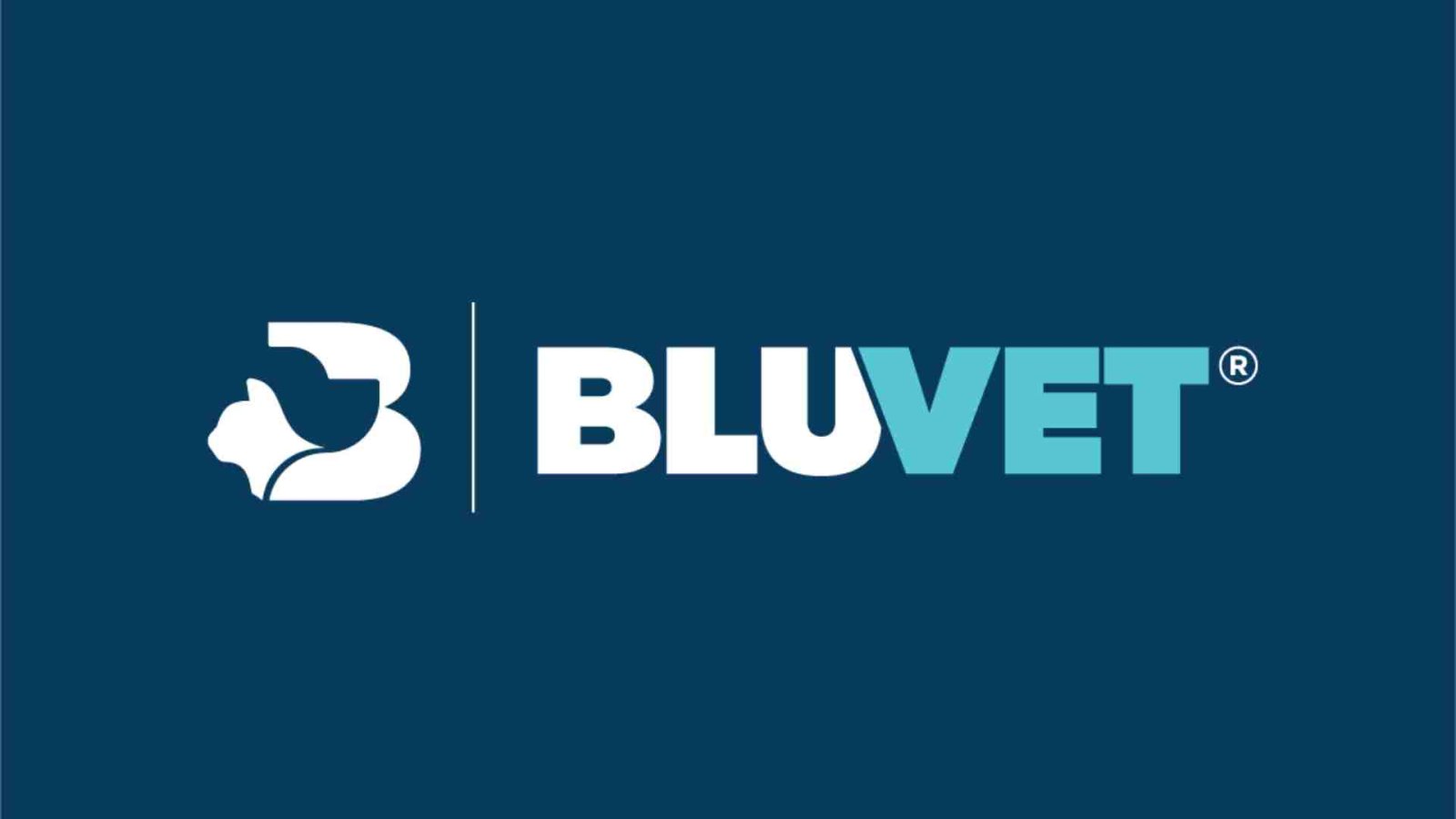Logo BluVet