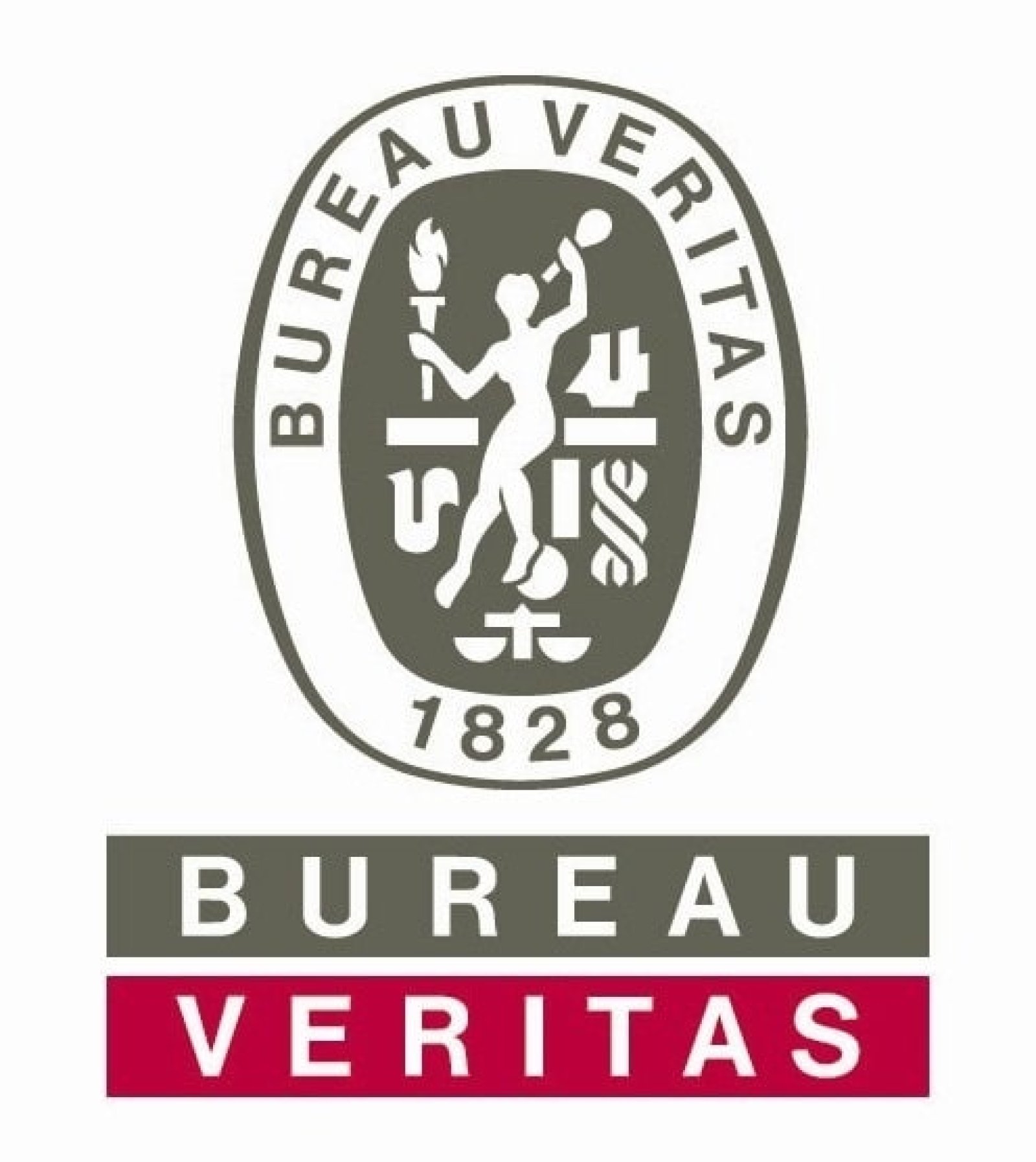 Logo Bureau Veritas Italia