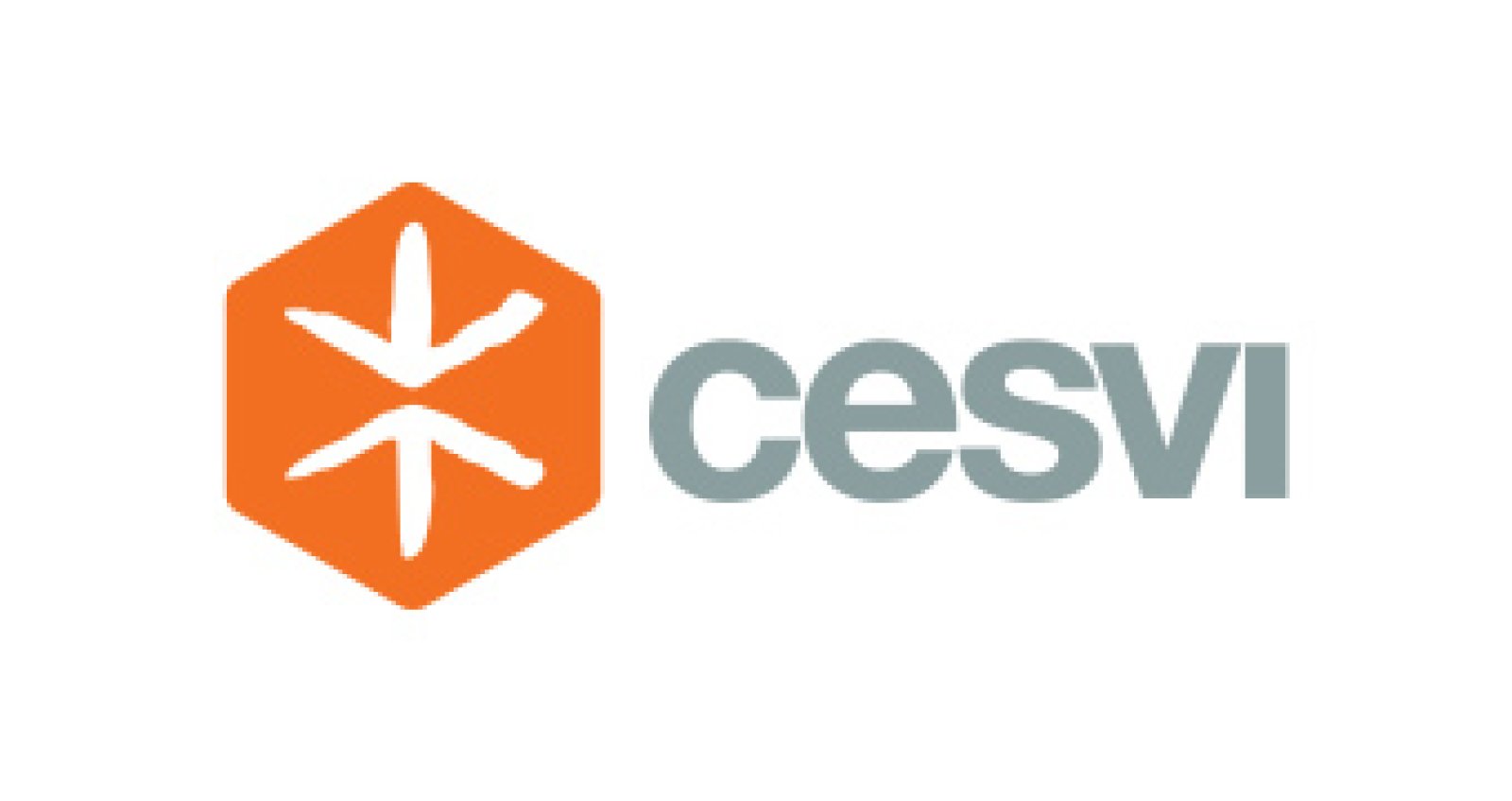 Logo CESVI Fondazione 