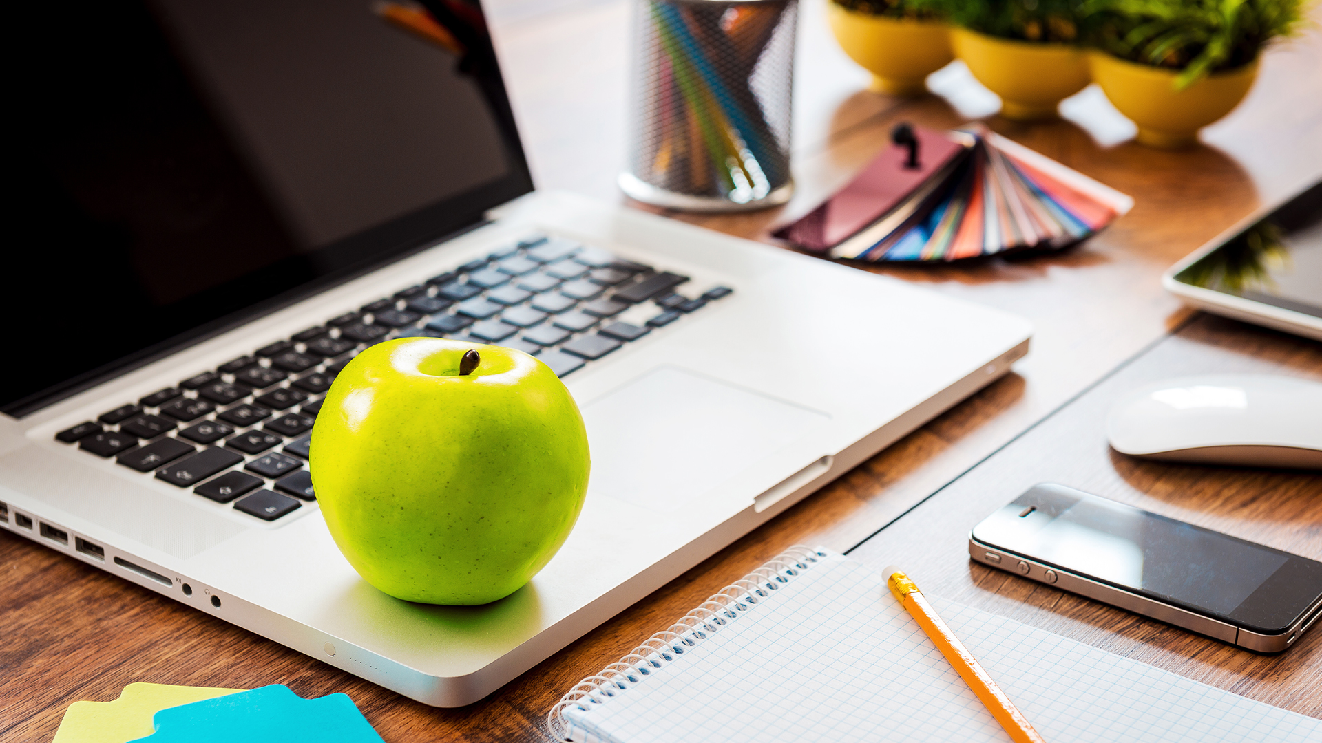 Navigating the selection process what to do before and after the interview